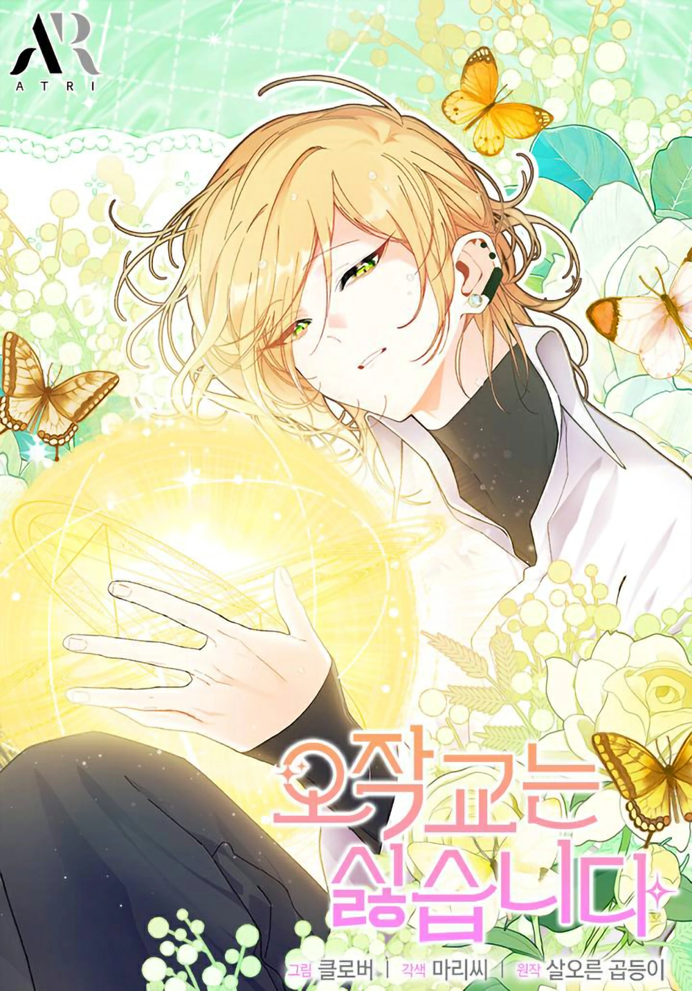 I don't want to be a magip bridge