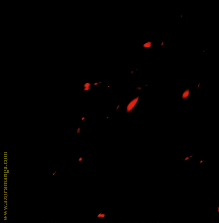 Father, I Don’t Want to Get Married! الفصل 100 صفحة 8