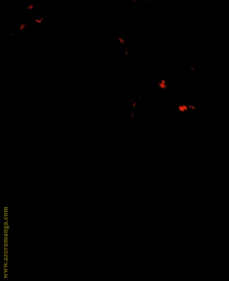 Father, I Don’t Want to Get Married! الفصل 100 صفحة 11