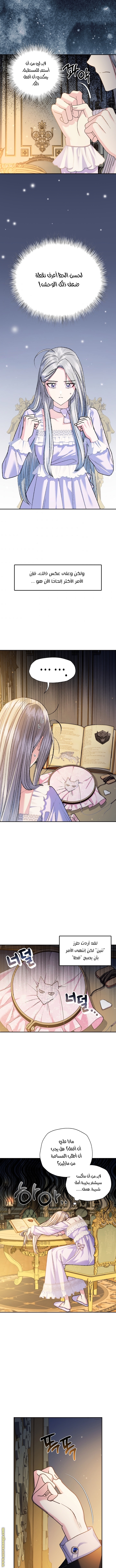 Father, I Don’t Want to Get Married! الفصل 84 صفحة 15