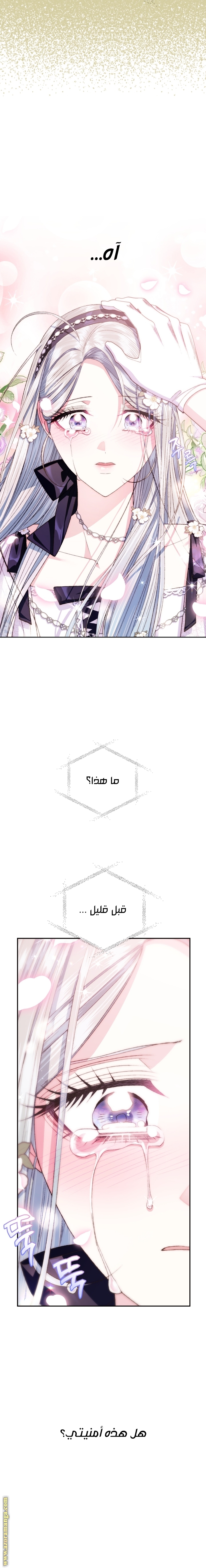 Father, I Don’t Want to Get Married! الفصل 79 صفحة 8