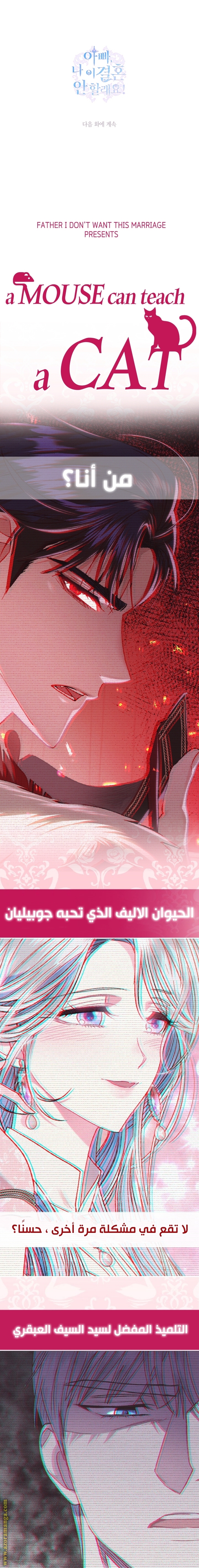 Father, I Don’t Want to Get Married! الفصل 38 صفحة 27