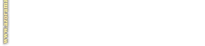 Absolute Sword Sense الفصل 49 صفحة 42