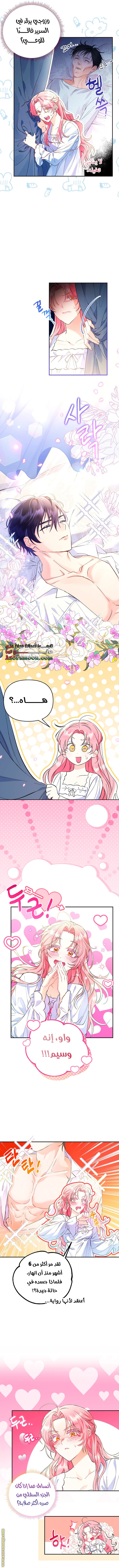 I Thought You Were A Time-Limited Husband الفصل 1 صفحة 8