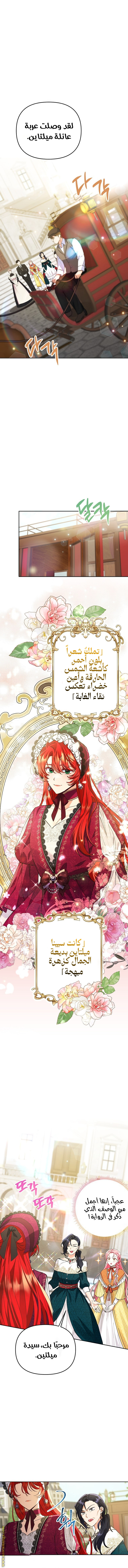 I Thought You Were A Time-Limited Husband الفصل 8 صفحة 11