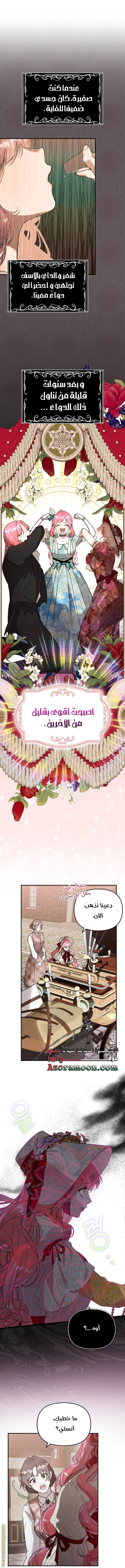 The Male Leads Are Trapped in My House الفصل 1 صفحة 12