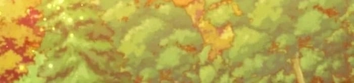 Become the Adopted Daughter of an Assassins Family الفصل 100 صفحة 22