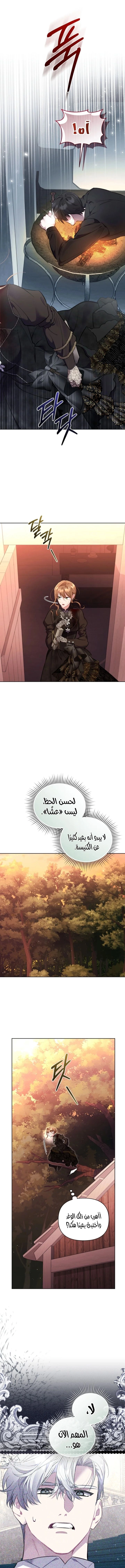 Don’t Worry, We Both Agreed to this Fraudulent Marriage الفصل 54 صفحة 12