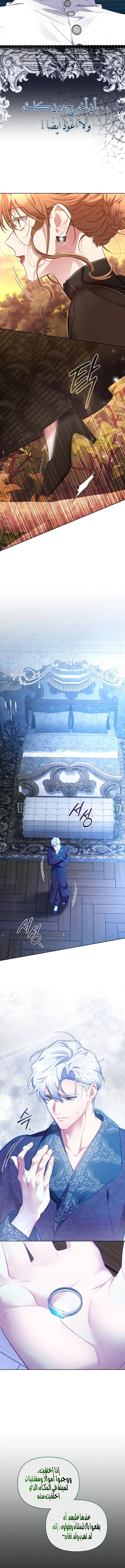 Don’t Worry, We Both Agreed to this Fraudulent Marriage الفصل 54 صفحة 13