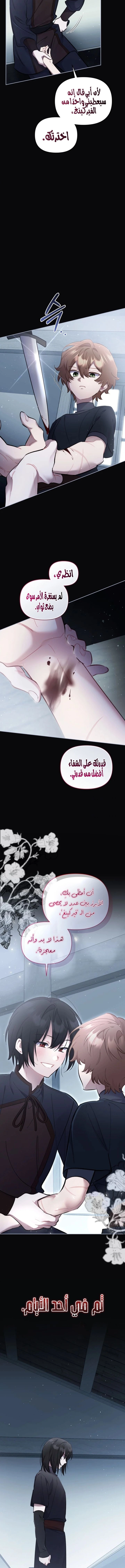 Don’t Worry, We Both Agreed to this Fraudulent Marriage الفصل 54 صفحة 7