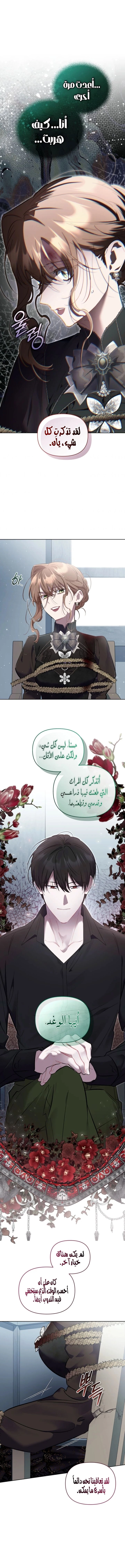 Don’t Worry, We Both Agreed to this Fraudulent Marriage الفصل 54 صفحة 9