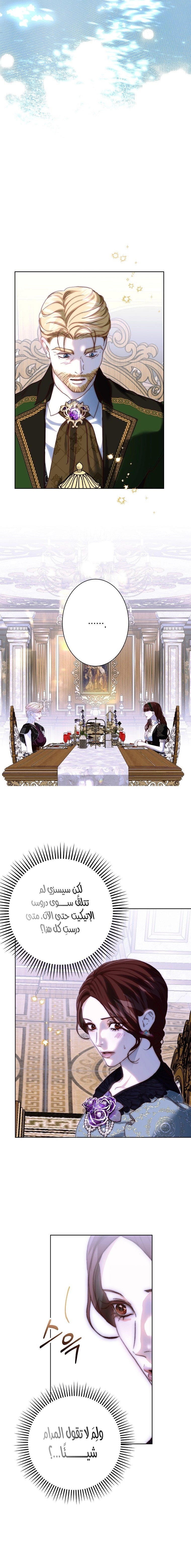 Fragments of the Broken Glass Slipper الفصل 29 صفحة 9