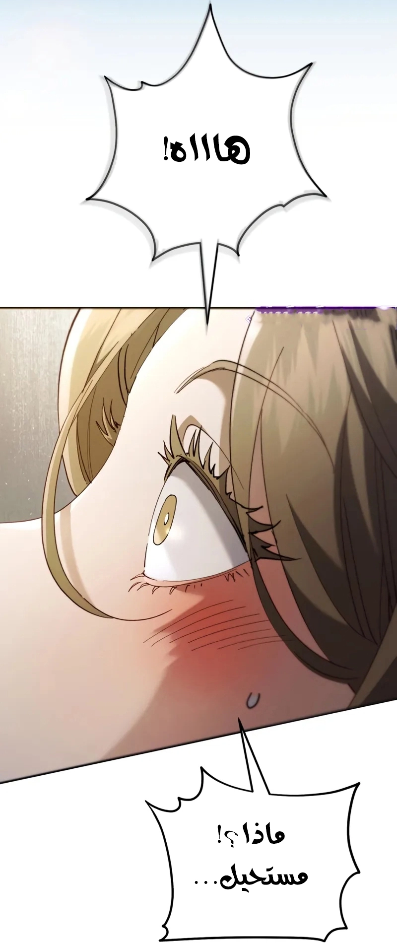 The Heavenly Demon Wants a Quiet Life الفصل 71 صفحة 19