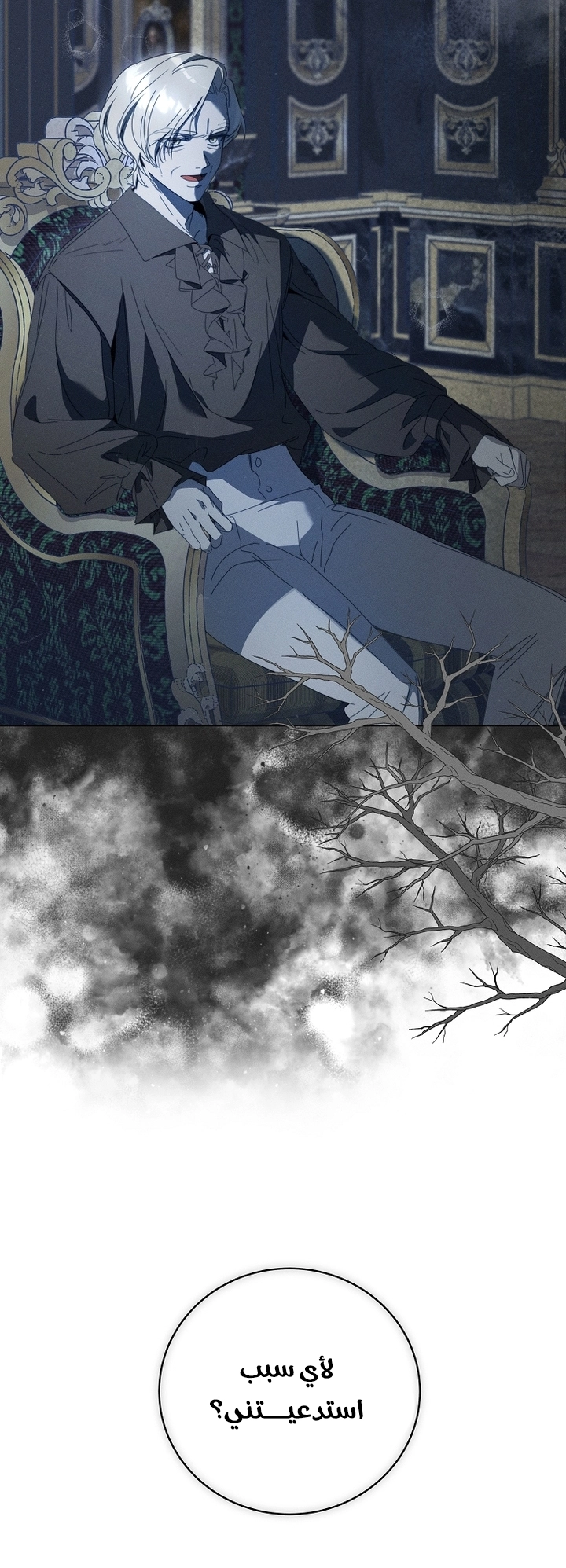 The Princess's Rebirth الفصل 68 صفحة 11