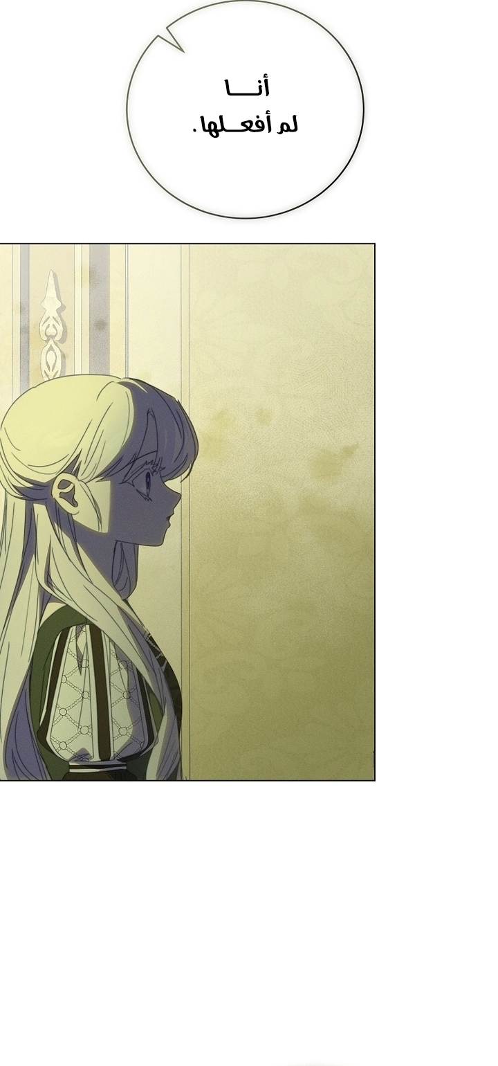 The Princess's Rebirth الفصل 68 صفحة 47