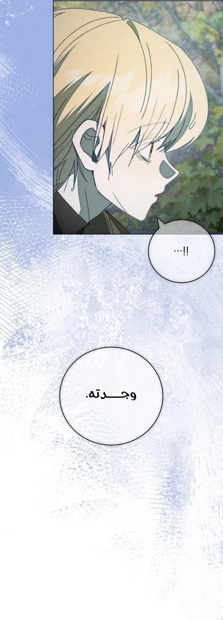 The Princess's Rebirth الفصل 69 صفحة 11