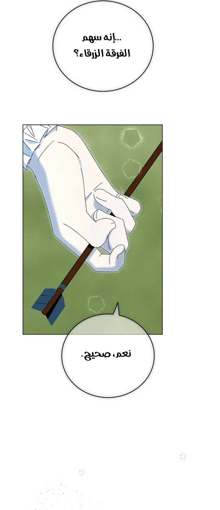 The Princess's Rebirth الفصل 69 صفحة 19