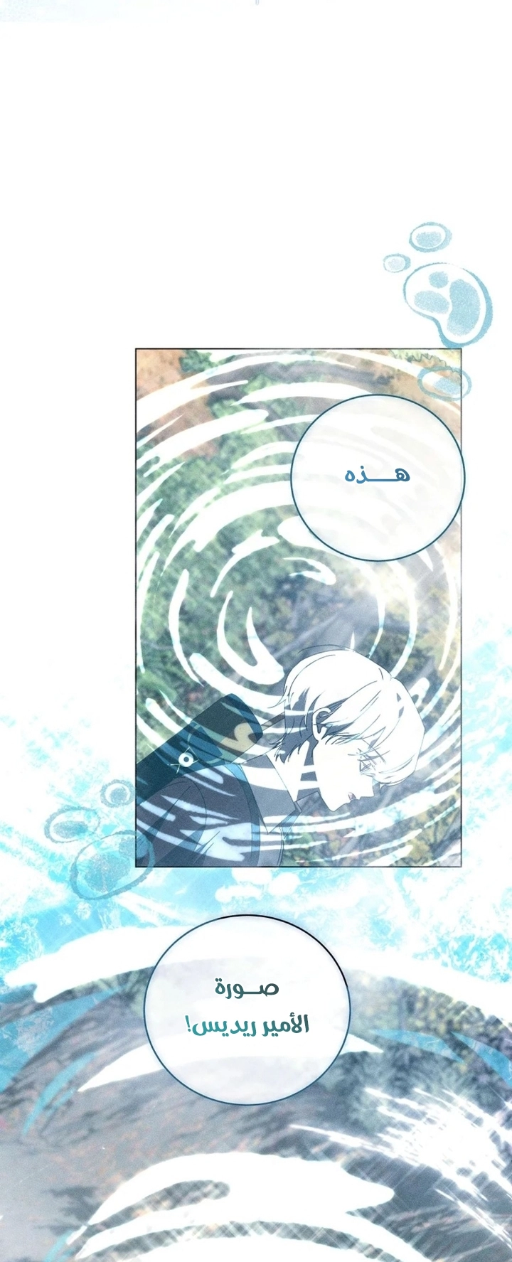 The Princess's Rebirth الفصل 69 صفحة 28