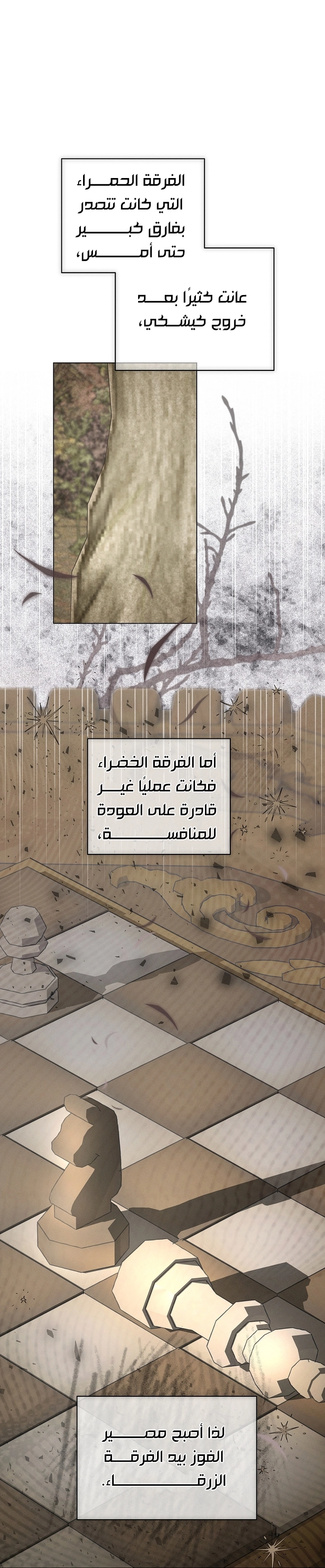 The Princess's Rebirth الفصل 70 صفحة 13