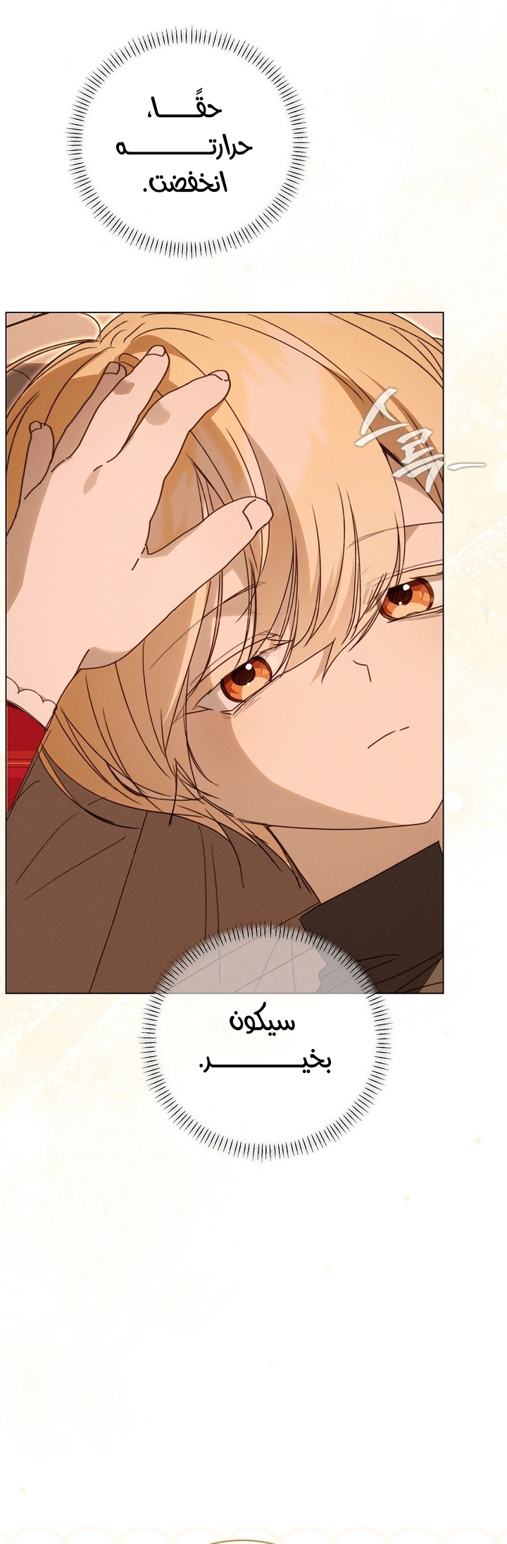 The Princess's Rebirth الفصل 70 صفحة 28