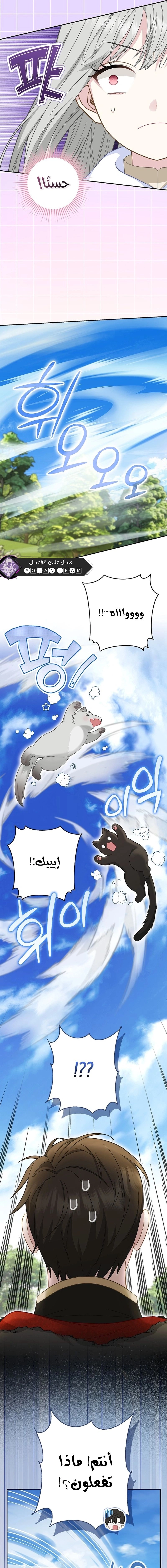 The Snow Leopard Baby of the Black Leopard Family الفصل 50 صفحة 16