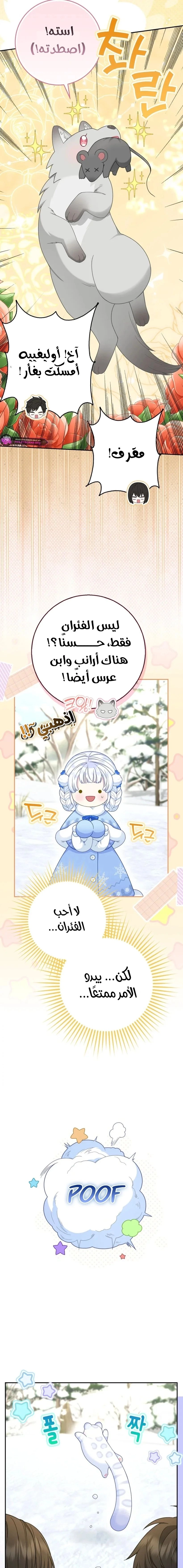 The Snow Leopard Baby of the Black Leopard Family الفصل 49 صفحة 12