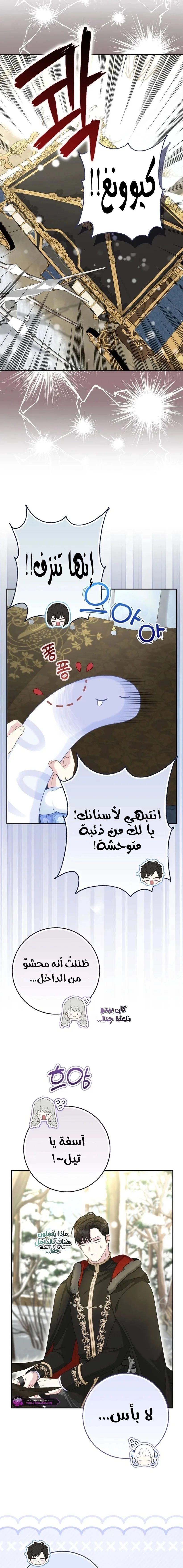 The Snow Leopard Baby of the Black Leopard Family الفصل 49 صفحة 20