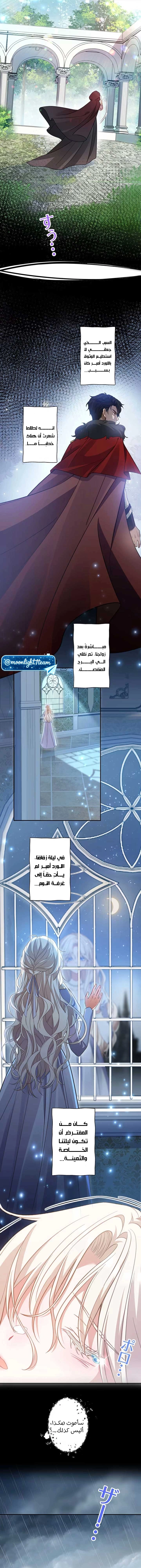 This Time, I Will Avoid This Marriage - A Method to Part Ways With You, Who Lacks Love الفصل 1 صفحة 13